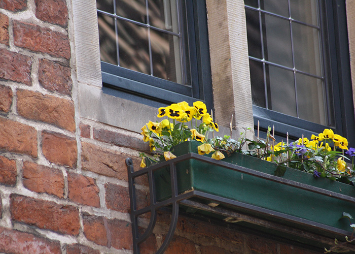 Impressionen von der Waterkant!